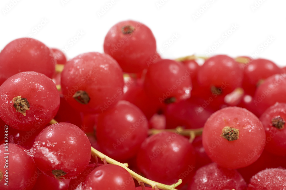 Tiefgefrorene Johannisbeeren vor weißem Hintergrund