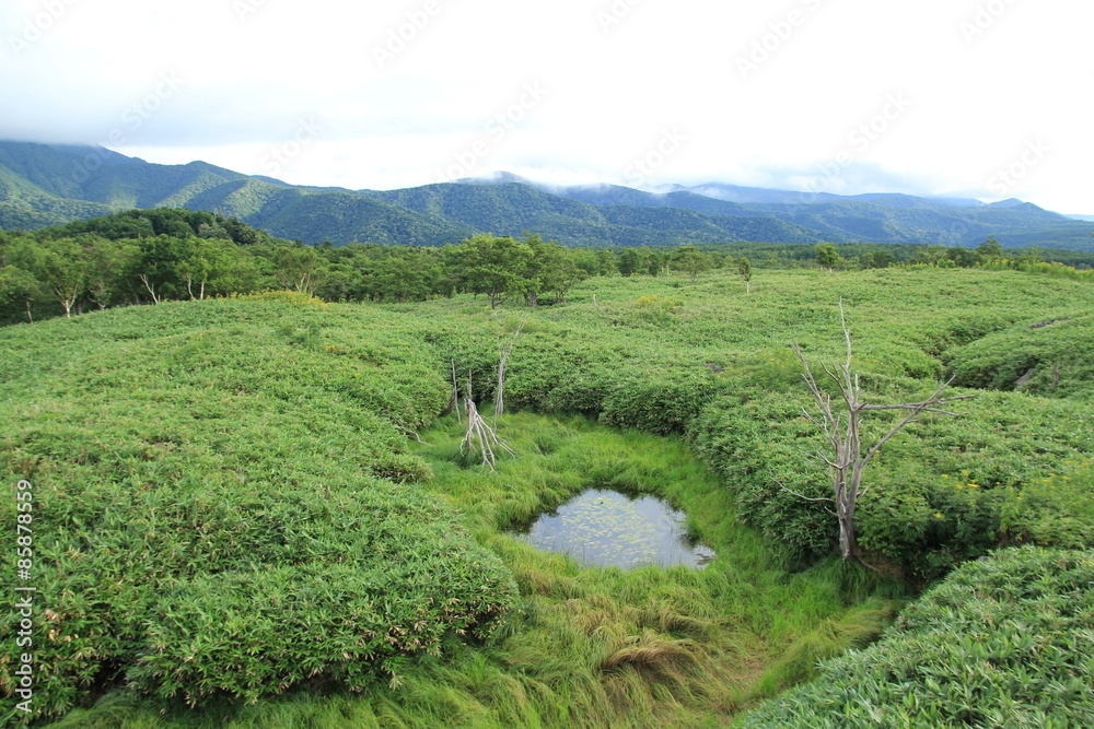 知床五湖