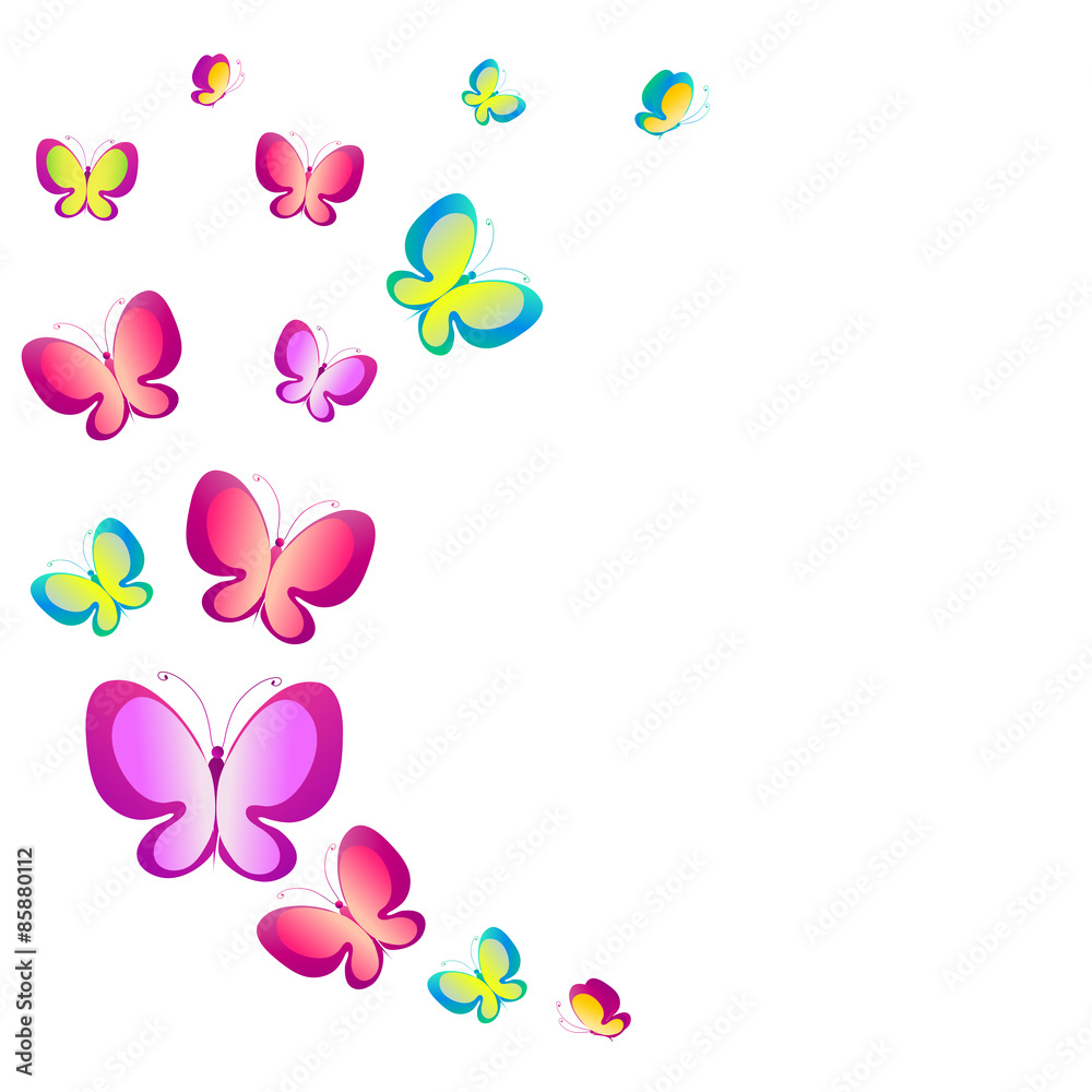 butterflies design butterflies design