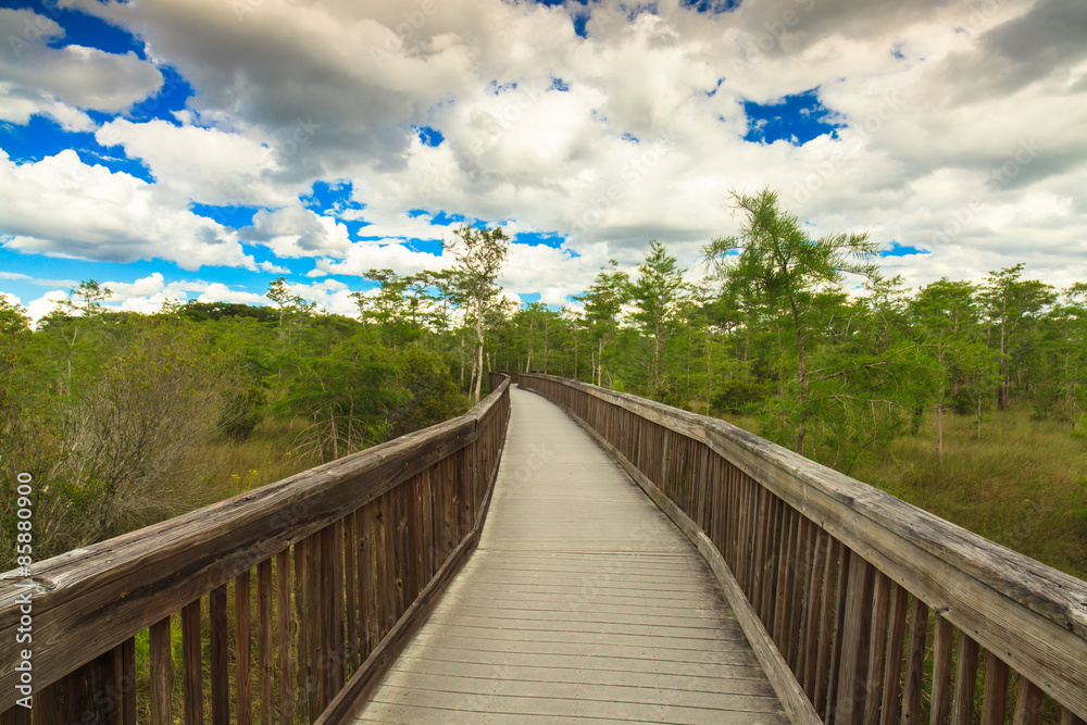 Florida Everglades