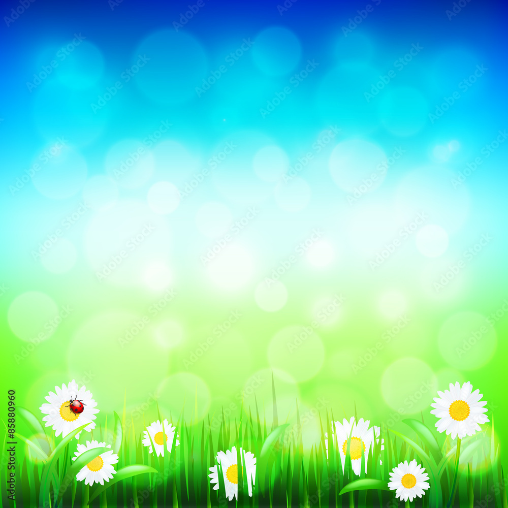 Green grass and blue sky with flowers vector