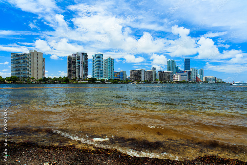 Naklejka premium Miami Skyline
