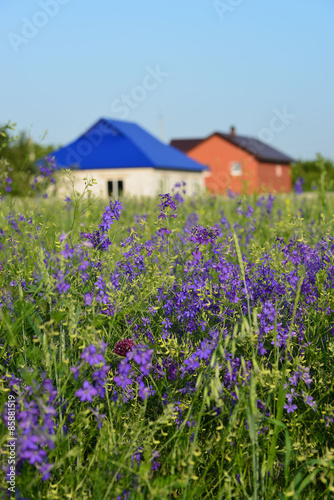 Fototapeta Naklejka Na Ścianę i Meble -  Lawn with wildflowers in front farmhouses