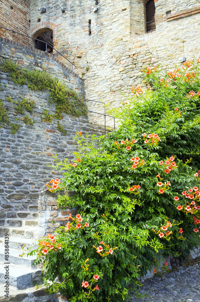 Naklejka premium Serralunga d’Alba, castle detail. Color image