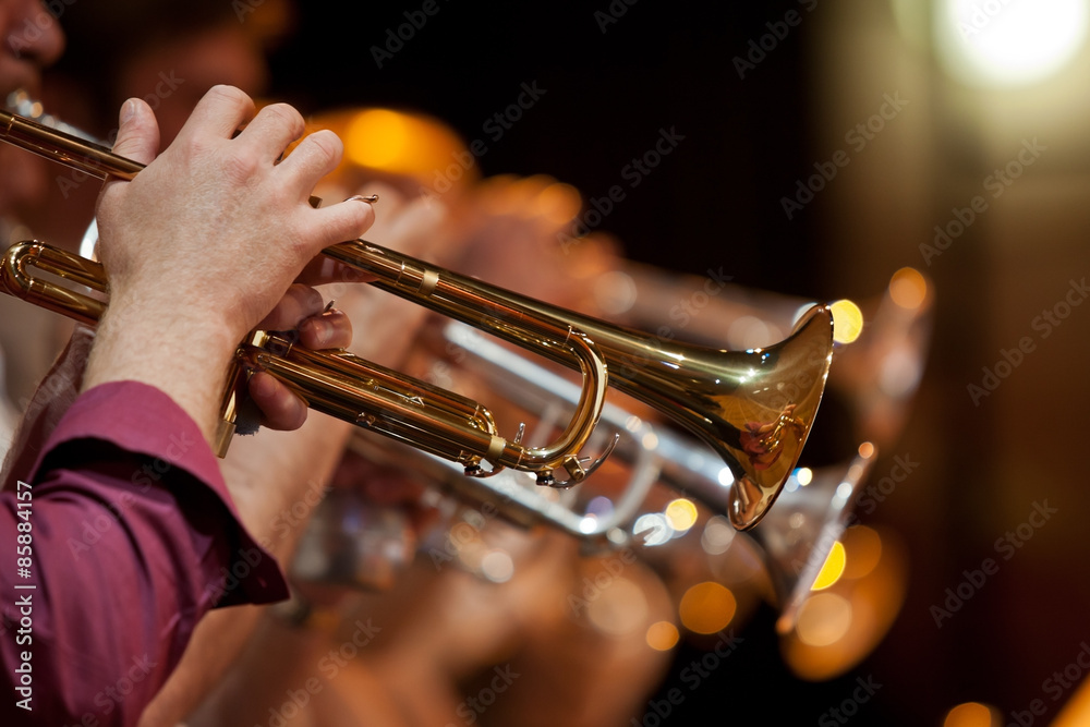 Obraz premium The pipe is in the hands of a musician in the orchestra