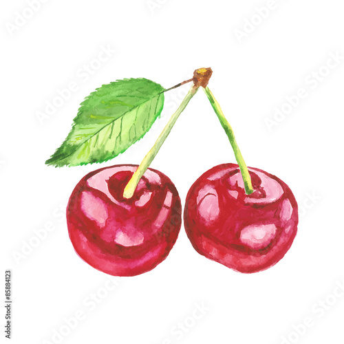cherries. Vector watercolor painting on white background