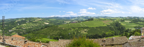 Langhe springtime panorama. Color image