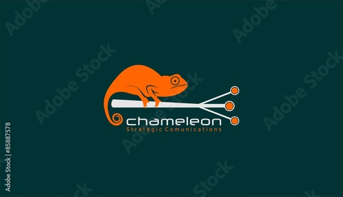 chamelon abstract logo connection