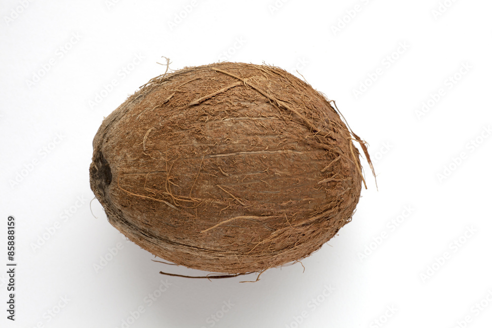 Coconut Coconut