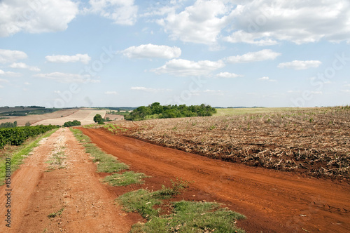 Marialva, Paraná photo