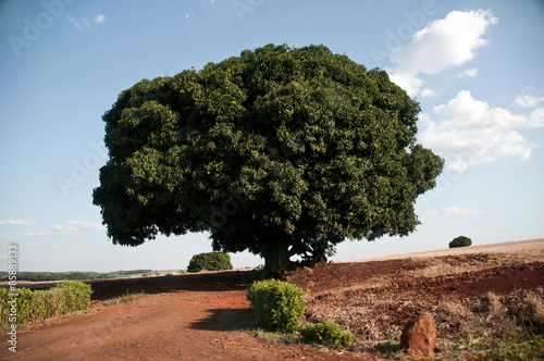 Marialva, Paraná photo