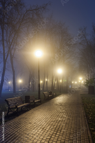 Fototapeta Naklejka Na Ścianę i Meble -  The avenue of autumn city park at night