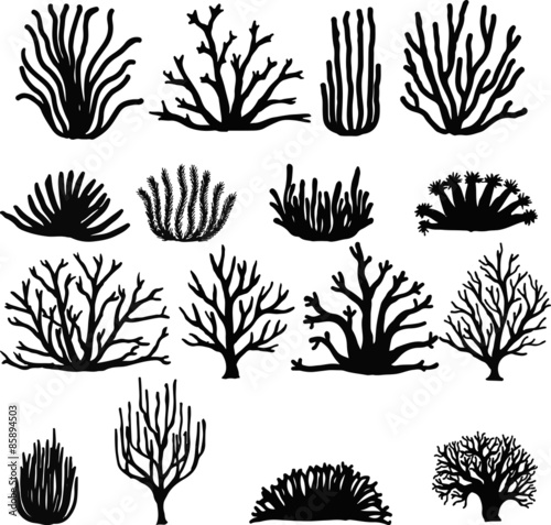 Hand drawn corals isolated on white. Silhouette icons.