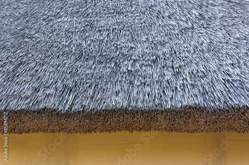 Fragment of the old reed roof.