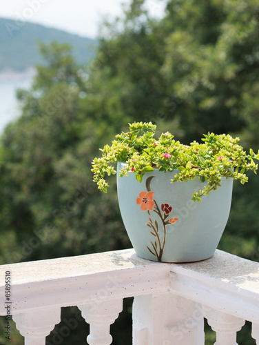 a pot of flowers on the balcony balustrade with a beautiful view