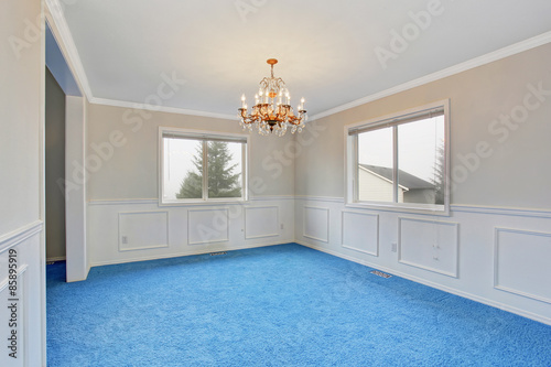 Spacious dinning room with blue carpet. photo