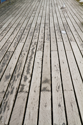 Planks of a bridge in close up with a seagull in the back