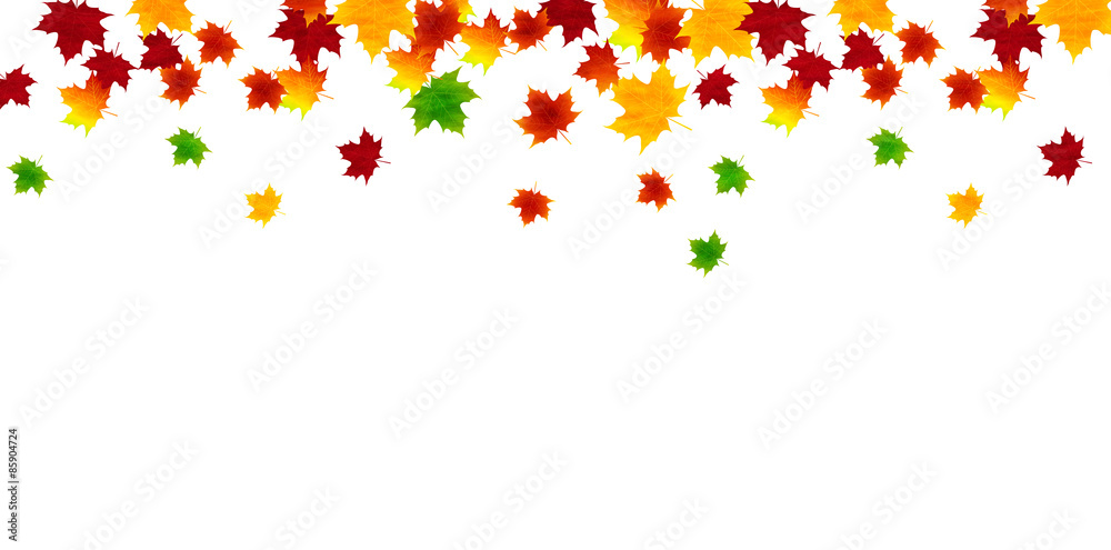 もみじ 紅葉 背景 もみじ 紅葉 背景