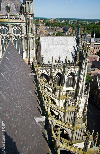 St. Johannes Kathedrale 's-Hertogenbosch
 photo