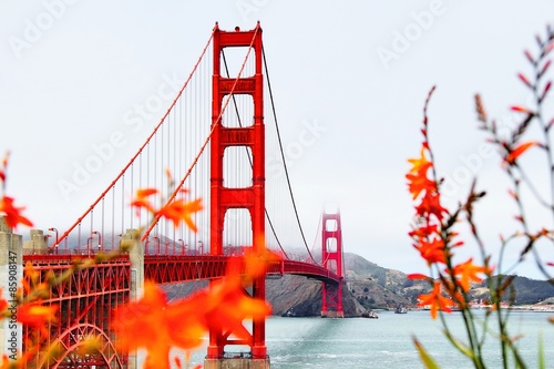 golden gate bridge San Francisco california USA 