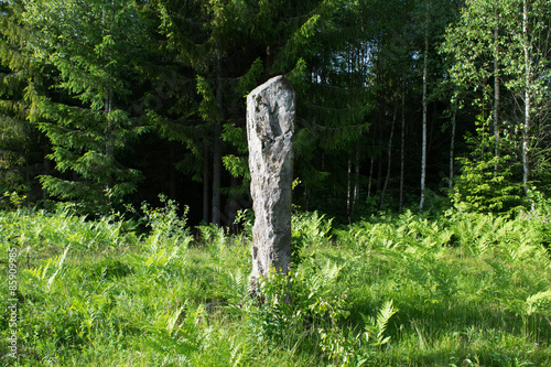 Stone monument from the Iron Age.

An Iron Age burial or ritual place. Its about two meters high and dug deep into the ground. This place has as many as 25 burial mounds.
 photo