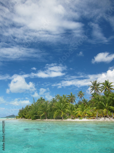 Fototapeta Naklejka Na Ścianę i Meble -  tropical island surrounded by turquoise water