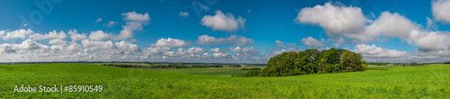 Summer landscape panorama.