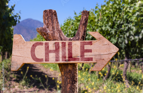 Chile wooden sign with winery background photo