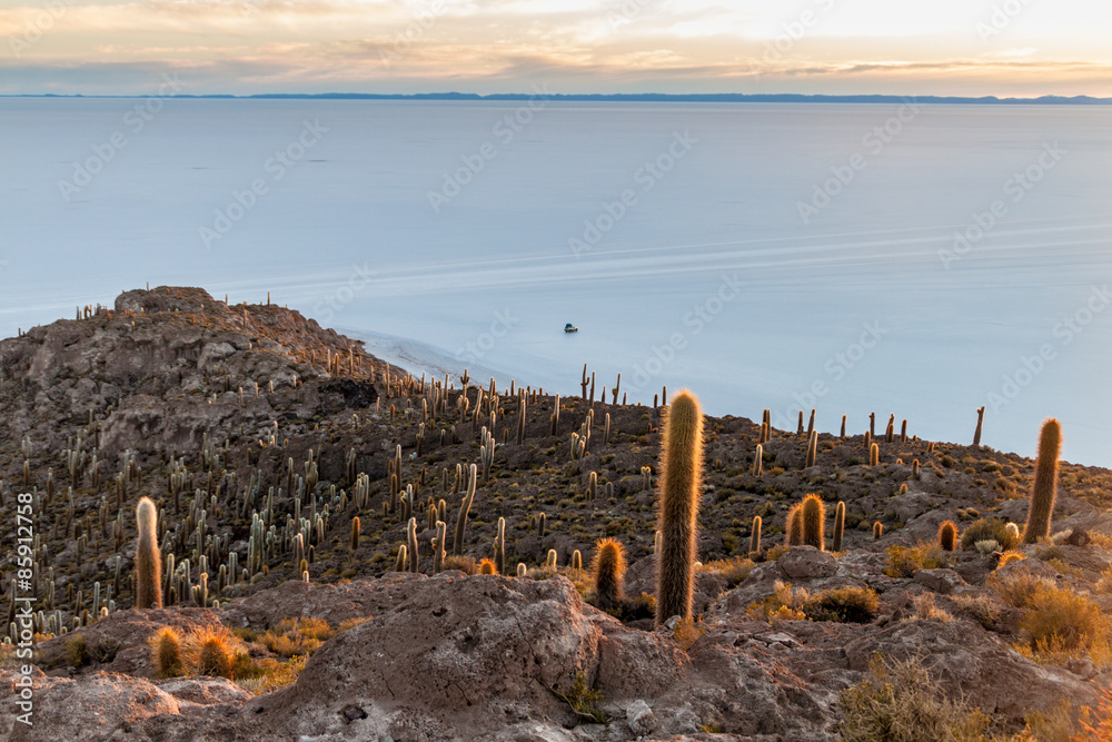 Isla Incahuasi in Salar de Uyuni, Bolivia Isla Incahuasi in Salar de Uyuni, Bolivia