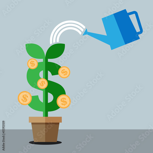 Money tree.