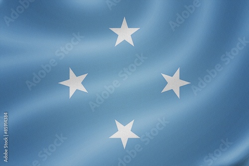 Federated States of Micronesia flag on the fabric texture backgr