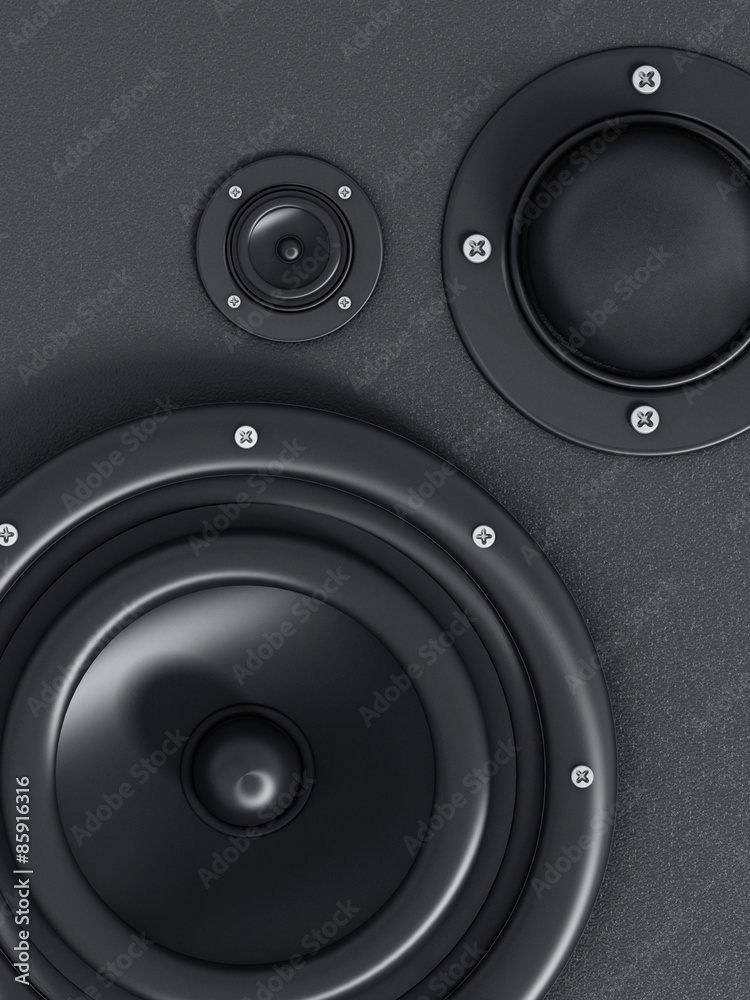 Speaker detail