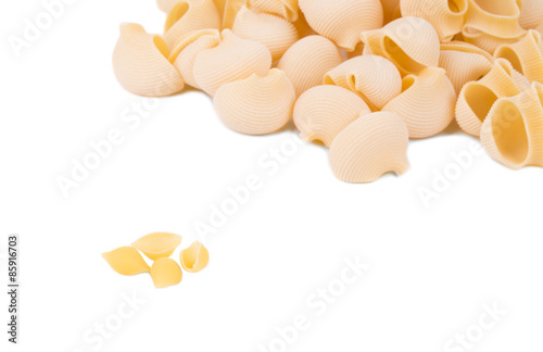 Close up of Italian pasta shells. 