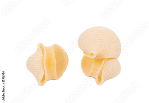 Close up of Italian pasta shells. 