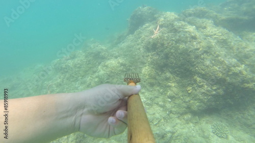 Thai moken hunting underwater 
 photo