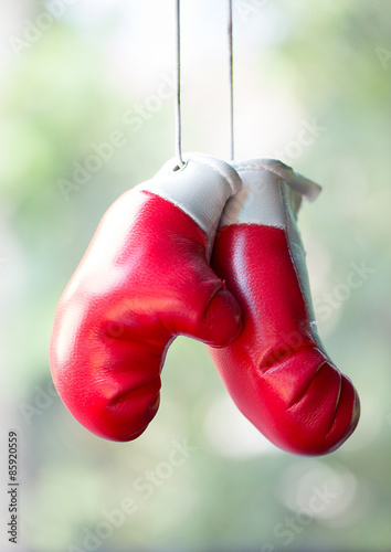 boxing gloves souvenir