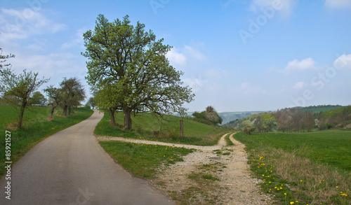 Fork in the road / Spring landscape with a fork in the road