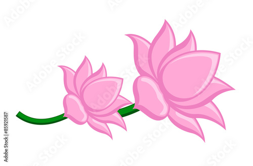 Lotus Flowers Vector Clipart