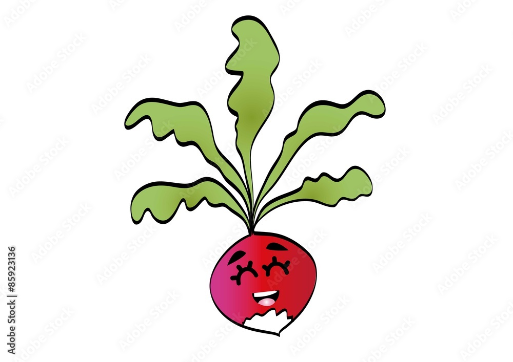 Naklejka premium rzodkiewka