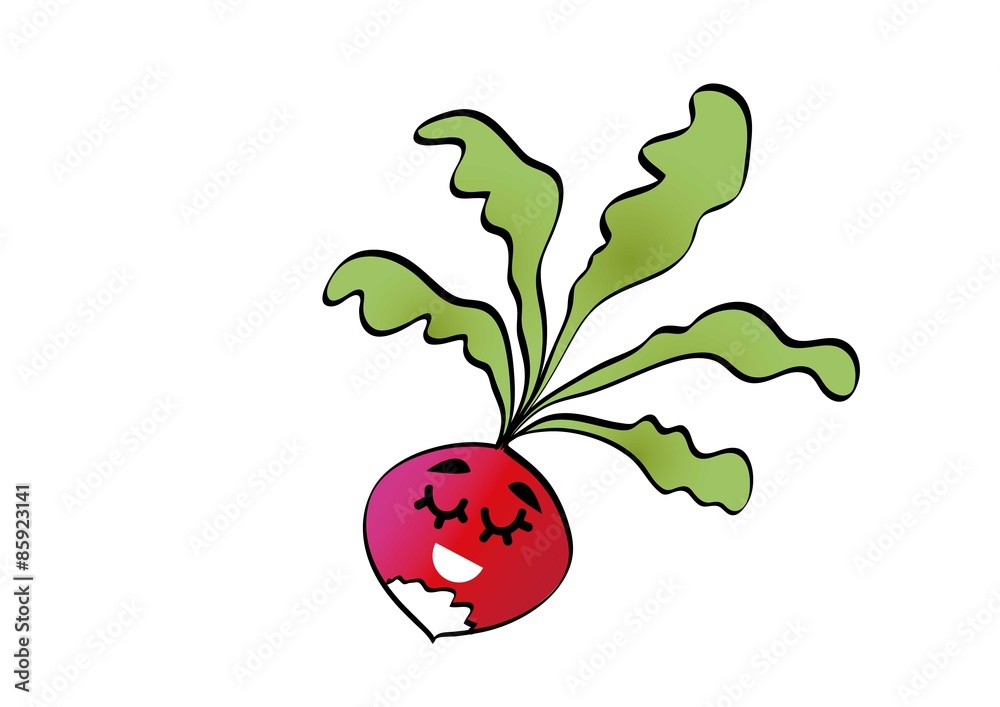 Obraz premium rzodkiewka