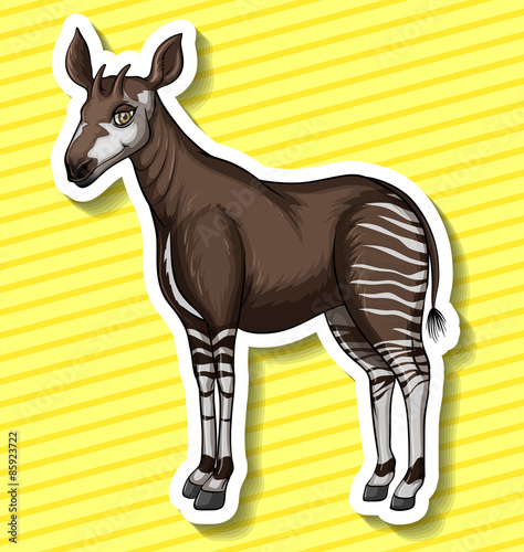 Okapi