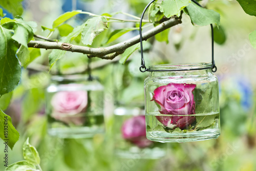 Rose schwimmt im Glass im Garten photo