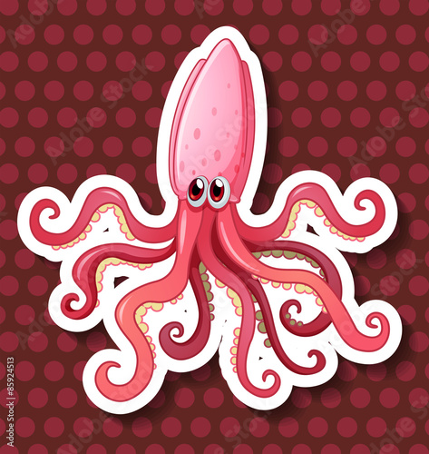 Octopus