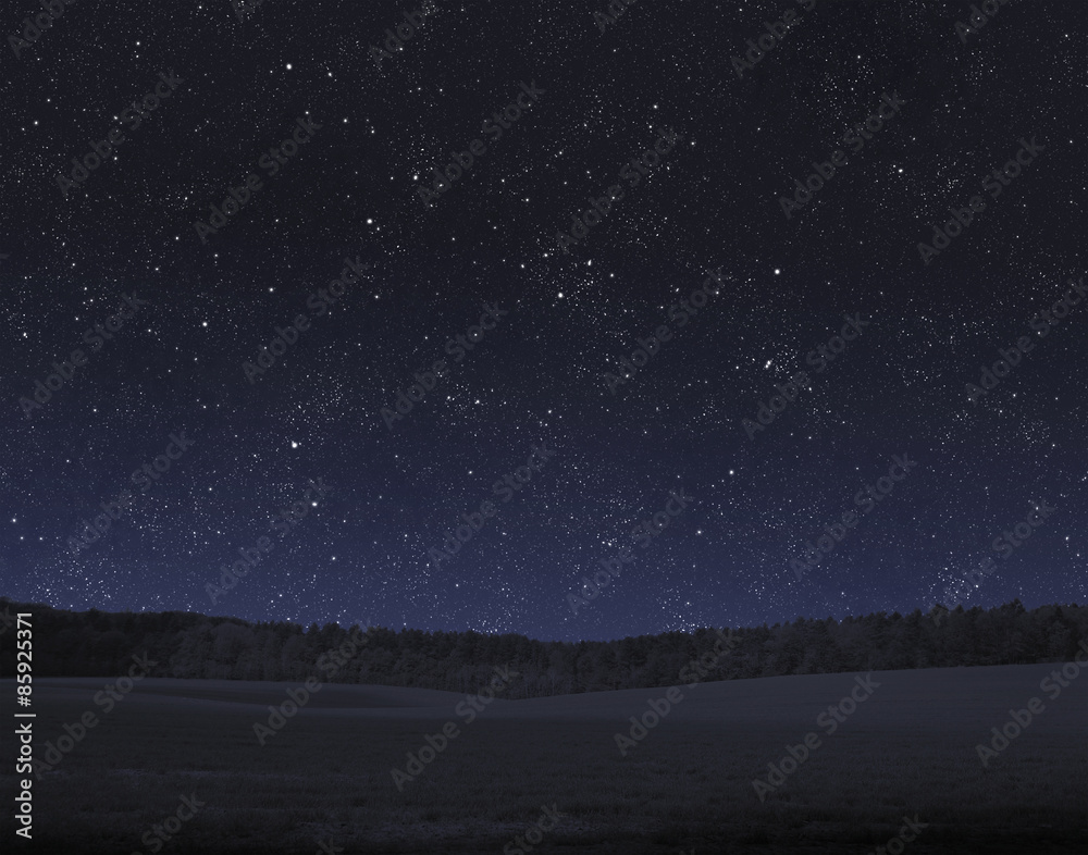 Fototapeta premium field