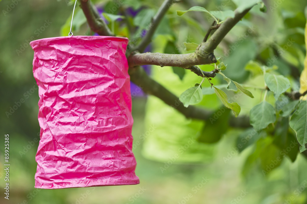 Laternen im Garten StockFoto Adobe Stock