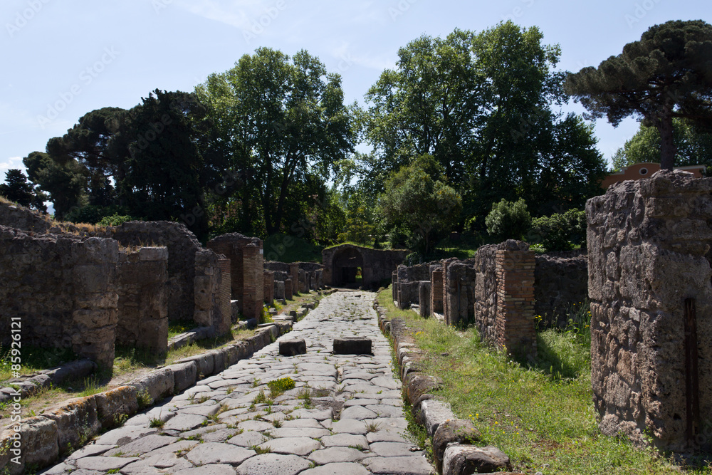 Excavated main road and houses of Pompeii