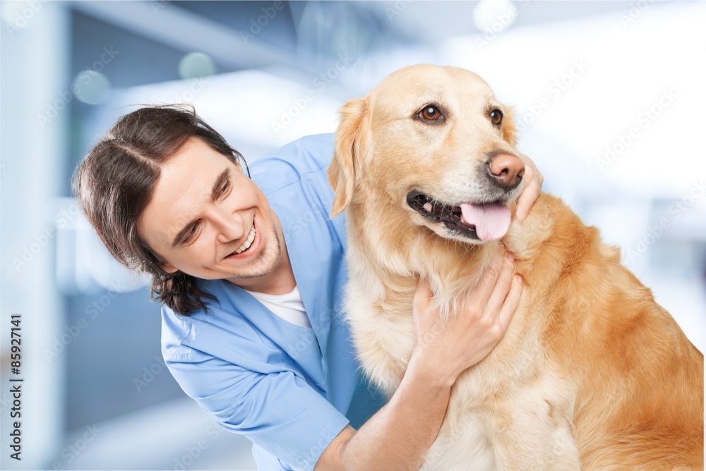 Veterinarian, dog, hugging.