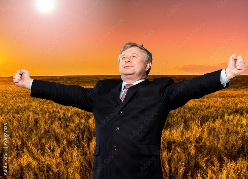 Businessman, Business, Cheerful.