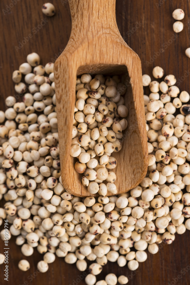 Sorghum, rice Sorghum, rice
