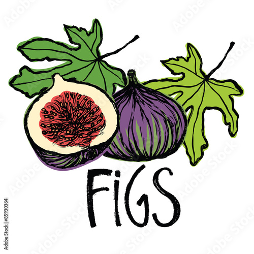 Fruits and leaves figs Design card
